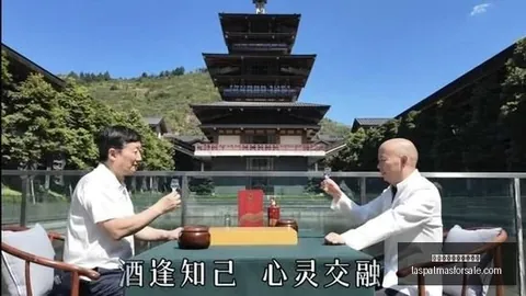 对决解析：山猫对阵狂热，全面精彩对决